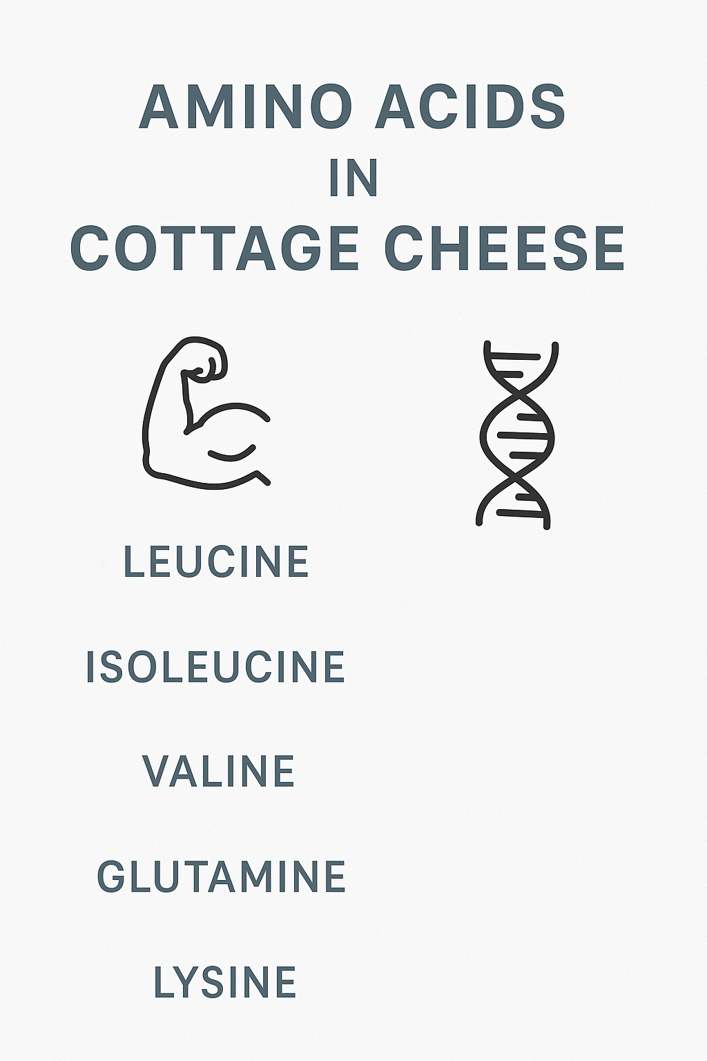 Visual chart comparing amino acids in cottage cheese leucine, isoleucine, valine, glutamine, lysine