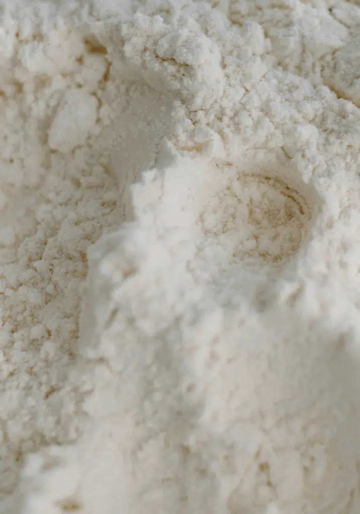 The Best Protein Powder